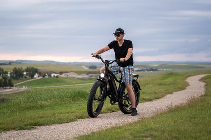 Himiway D3 Cruiser Electric Mountain Bike 750W Fat Tire